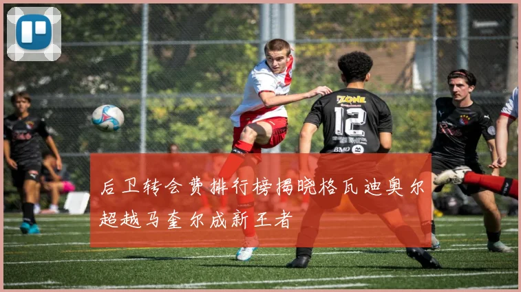 后卫转会费排行榜揭晓格瓦迪奥尔超越马奎尔成新王者