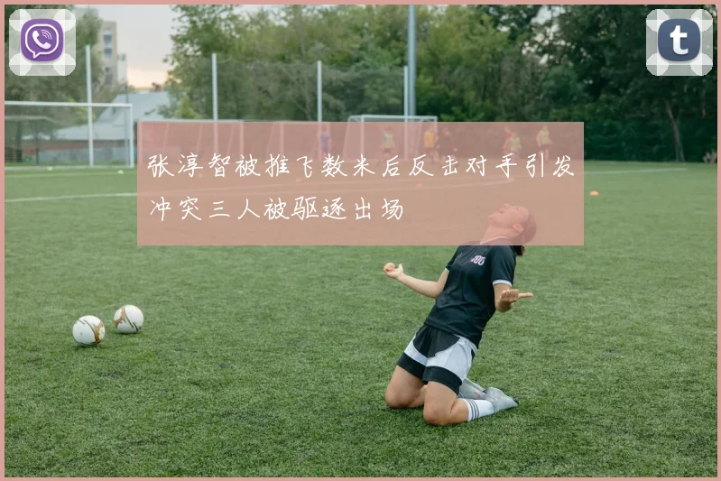 张淳智被推飞数米后反击对手引发冲突三人被驱逐出场