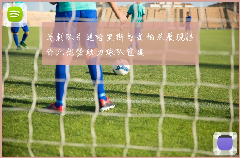 马刺队引进哈里斯与尚帕尼展现性价比优势助力球队重建